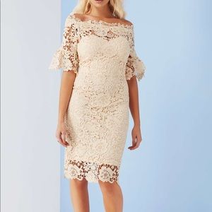 Paper Dolls Bardot Dress
